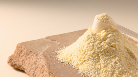 Natural vs. Artificial IgG Levels in Colostrum: What You Need to Know